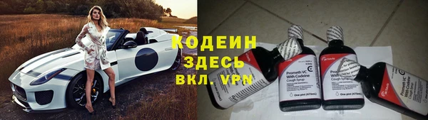 гашик Гусев