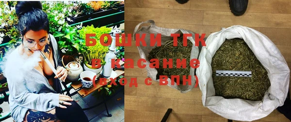гашик Гусев