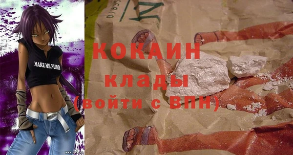 гашик Гусев