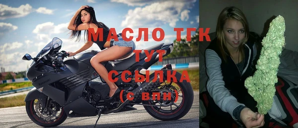 гашик Гусев