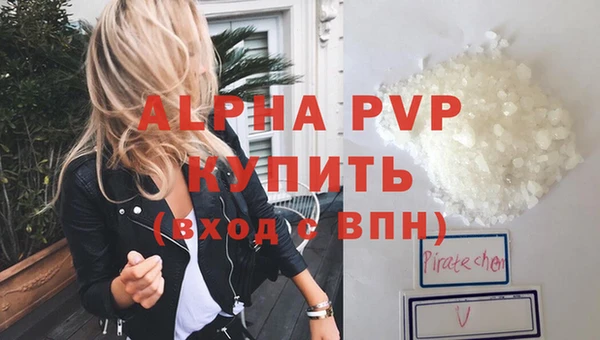 гашик Гусев